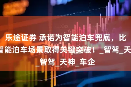 乐途证券 承诺为智能泊车兜底，比亚迪在智能泊车场景取得关键突破！_智驾_天神_车企